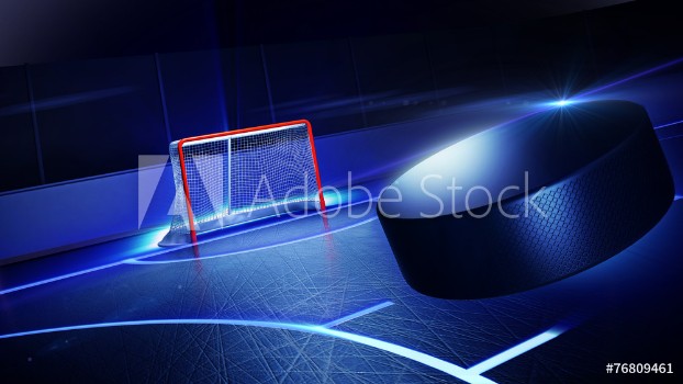 Picture of Hockey ice rink and goal